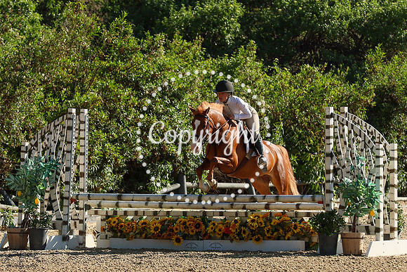 SCOTCH_KISS_(474)_20250510_9655