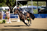 Kayenne_Z_(869)_20250411_2273