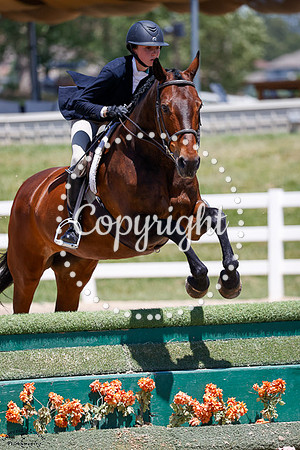 Amara_(1814)_20250621_4901