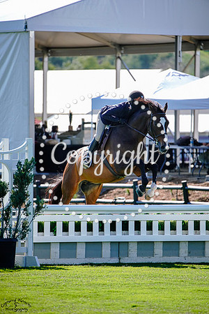 QUITE_EASY_Z_(512)_20250403_1004