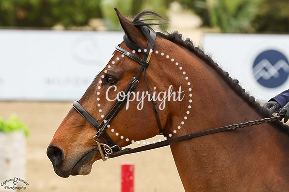 Fernhill_Tiger_Con_(239)_20250416_2320