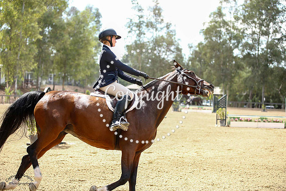 Amorina_(426)_20241003_0710