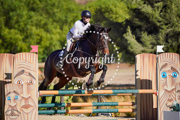 Cornet_Sapphire_(869)_20241010_4231