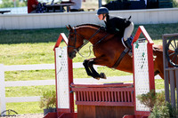 Sir_Duke_(599)_20250703_3240