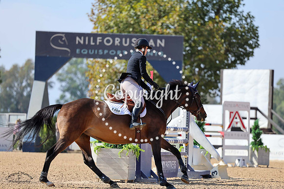 Fiona_(1408)_20241016_2120