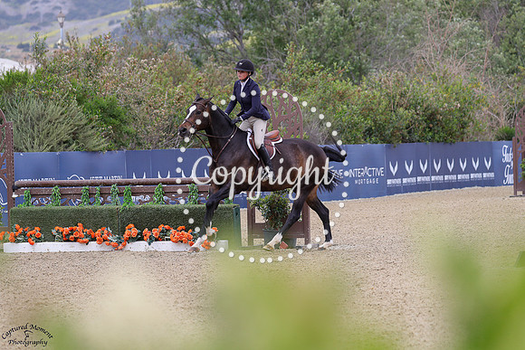 Chapel_Hill_(398)_20250518_3860