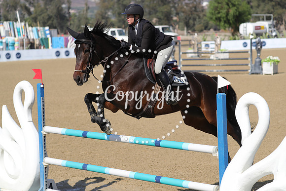 Kat_Walk_C_(1331)_20241016_0790