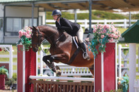 Figaro_V_(566)_20250523_1327