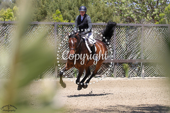 Julington_(425)_20250424_3871