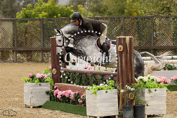 Kannon_Hill_(434)_20250415_0101