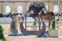 Grand_Blanc_De_Villa_Darto_(417)_20250424_2537