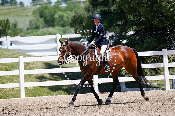 Amara_(1814)_20250621_4909