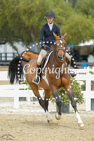 Ravenswood_(206)_20250718_1689