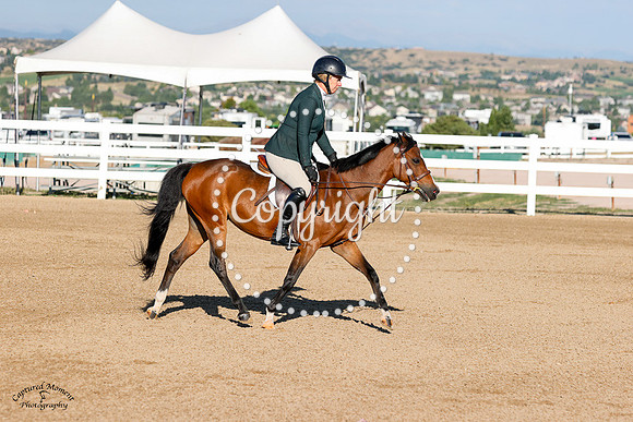 Woodlands_Qt_Pie_(524)_20240904_0109