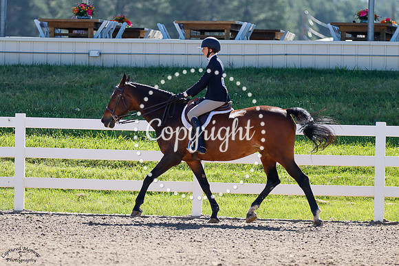 Amara_(1814)_20250622_1711