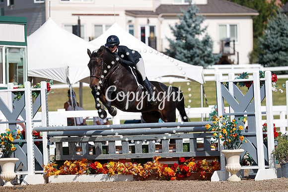 Morton_Vt_Merelsnest_(1214)_20240911_4093