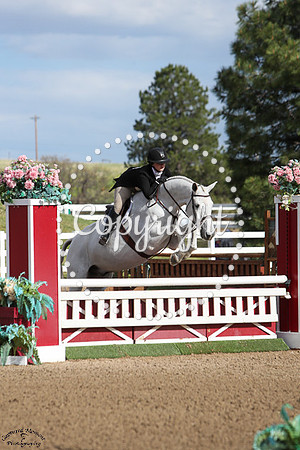 Silver_Oak_(179)_20250516_9405
