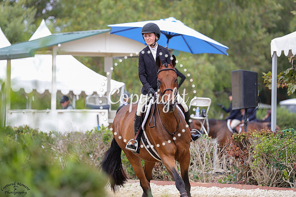 Colany_9_(278)_20250718_3537