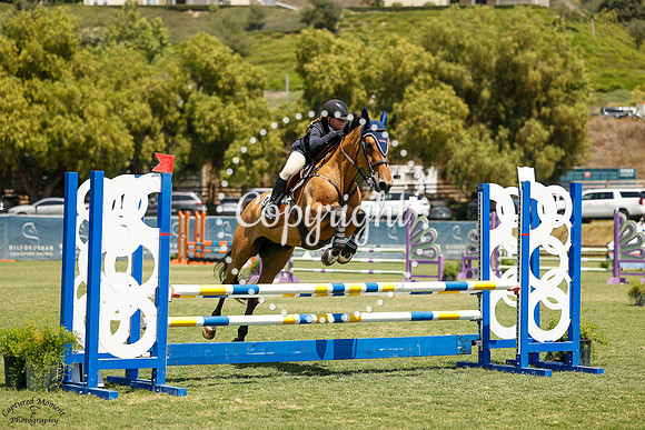 Jurania_Vant_Lozerhof_(868)_20250619_5029