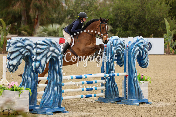 Fernhill_Tiger_Con_(239)_20250416_2316
