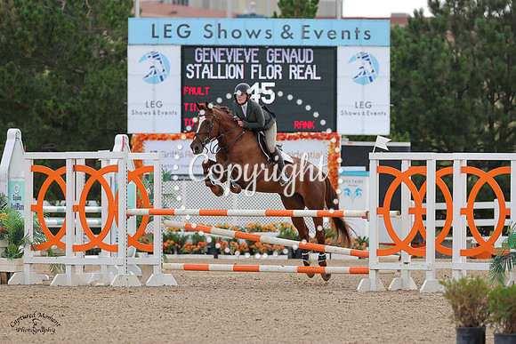 Stallion_Flor_Real_(674)_20240905_1725