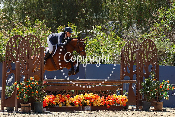 Ventura_Tw_(956)_20250515_2214