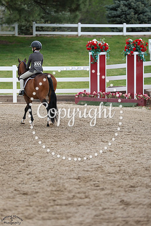 Woodlands_Qt_Pie_(322)_20250517_3615