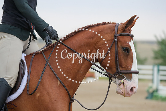Crowned_In_Chrome_(329)_20250905_5074