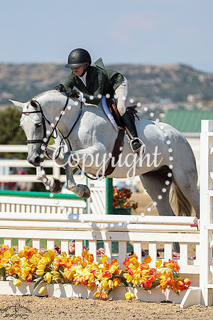 Knightlight_(363)_20250903_0451