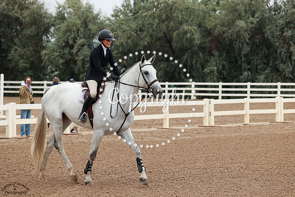Knightlight_(363)_20250905_0133
