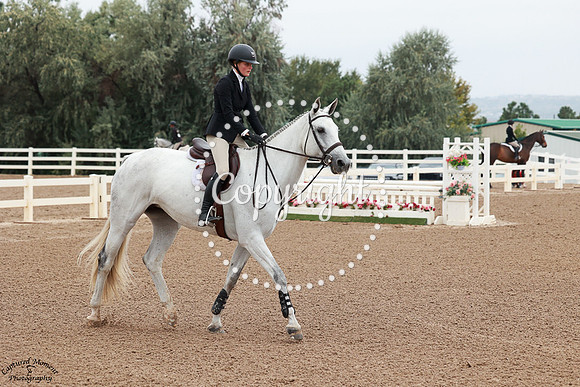 Knightlight_(363)_20250905_0135