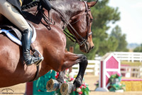 Ntec_Labros_(152)_20250904_0961