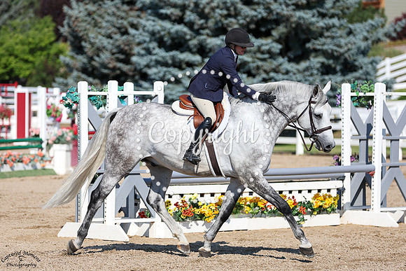 Silver_Spring_(125)_20250903_0262