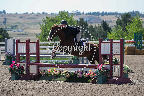 Sweet_As_Can_Be_(302)_20250903_6271