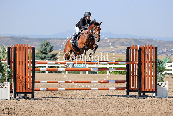 Bad_Bunny_(446)_20250904_0303