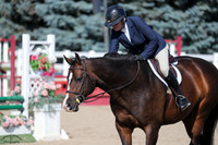 Chickadee_(384)_20250904_1843