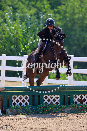 Rose_Sky_Lark_(283)_20250904_0785