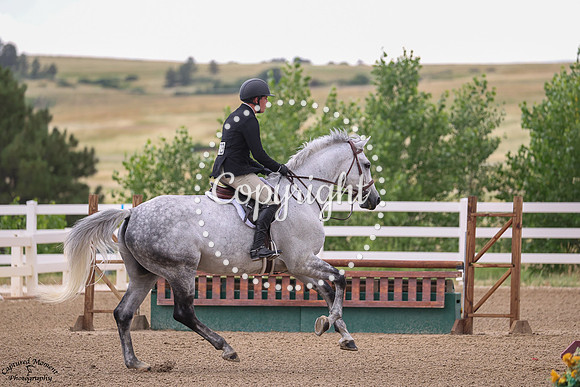 Gandalf_The_Grey_(723)_20250710_2947