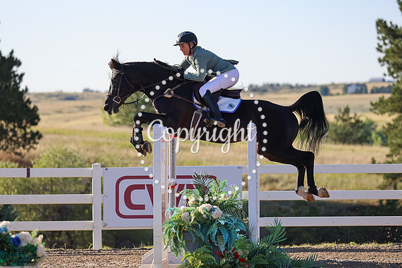 Ice_Tea_(1032)_20240912_0048