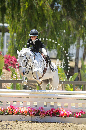 Greymeadows_On_Pointe_(487)_20250530_6158