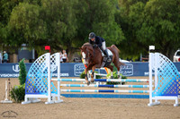 ENCHANTED_(748)_20250911_5010