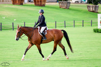 FIVE_STAR_Z_(140)_20250910_0760