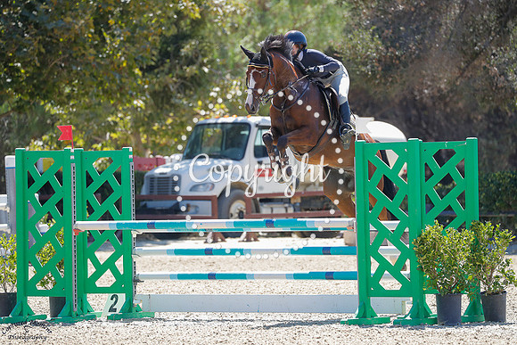 HOPOPOP_DEOLE_(260)_20250910_0620