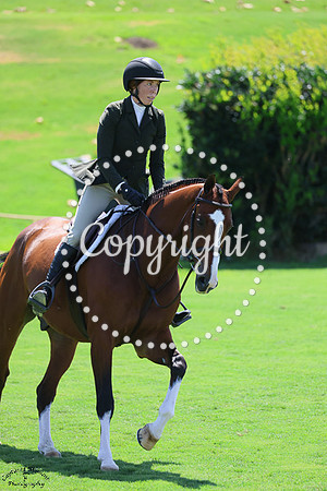 JADEBRIDGE_(256)_20250910_2414