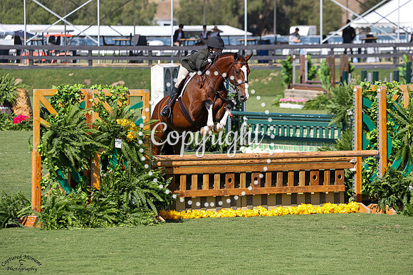 JADEBRIDGE_(256)_20250912_2088