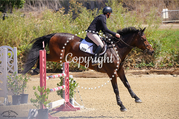 LUFIDDICH_(209)_20250912_0657
