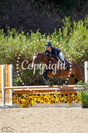 POP_LYRIC_(347)_20250910_0817