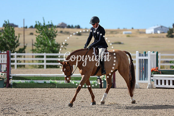 Geppetto_(144)_20250910_5803