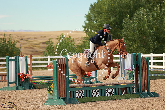 Geppetto_(144)_20250911_0263