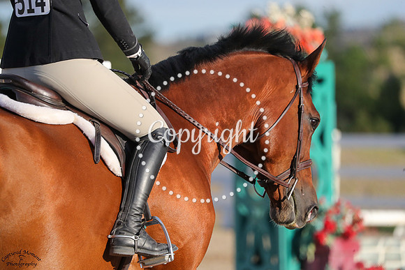 No_Trouble_(514)_20250910_3403